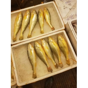 魚(yú)類產(chǎn)品